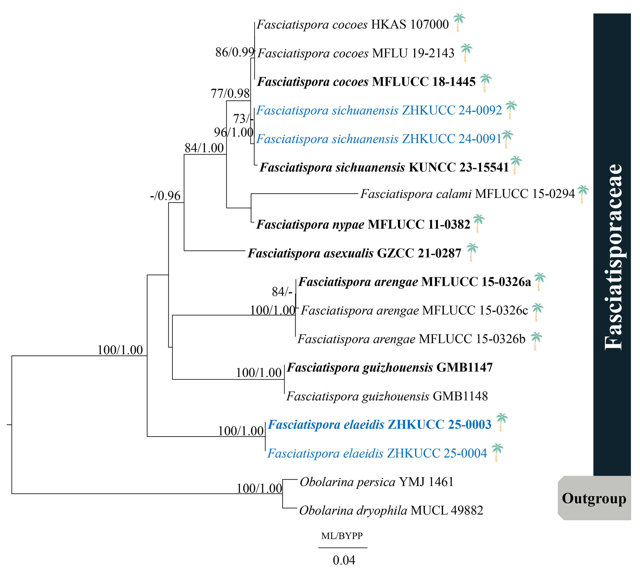 Figure 117